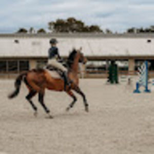 Meet your Posher, Brooklynn